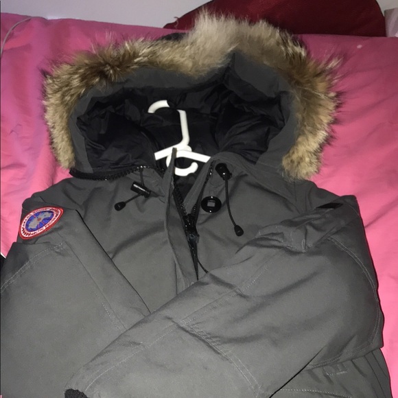 Canada goose bomber - Picture 1 of 3